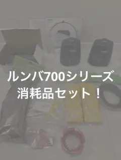 Item thumbnail for item 0ff871b4-4d23-4301-979f-d54da936c5e1