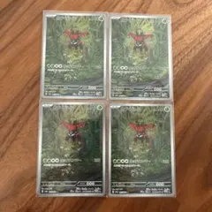 カプ・ブルルAR4枚