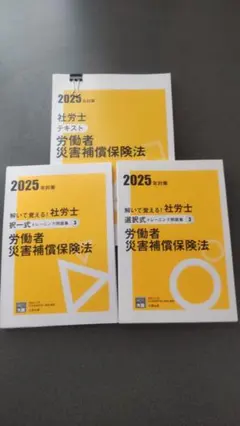 しのはらっぱ様 リクエスト 3点 まとめ商品