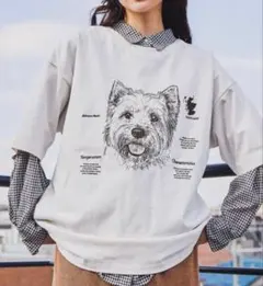 ドローイングBIGDOG T シャツのサムネイル