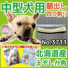 中型犬用 エゾ鹿の角 4半割り 1本 北海道産 犬のおもちゃ 37115のサムネイル