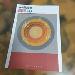 国語小6 新演習 学習参考書
