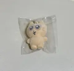 ゼベワン　HERE＆NOW　カプセルトイ　フロッキーキーリング　ジャンハオ