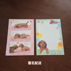【匿名配送】犬　ポストカード　２枚セット