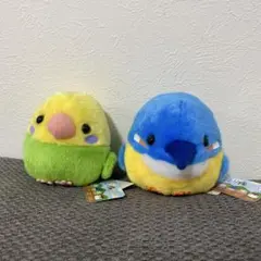 2026年最新】アミューズ ことり隊の人気アイテム - メルカリ