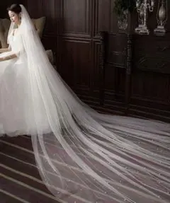 ホワイト ウェディングベール ロングトレイン パール