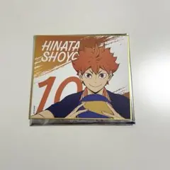 ハイキュー 日向翔陽 色紙