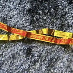 Hey!Say!JUMP 15thAnniversaryLIVETOUR銀テ