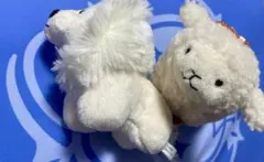 Item thumbnail for item 54374a13-76ac-4783-b5b9-9c4c8f8bf8c9