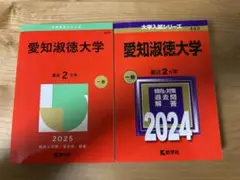 愛知淑徳大学 2024 2025 赤本