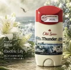 新品Old Spice Thunder デオドラントスティック 73g サンダー - メルカリ