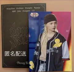 straykids vr 会場限定 dominate フィリックス ラントレ