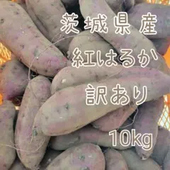 訳あり　紅はるか　10キロ　茨城県産　栽培中農薬不使用　さつま芋