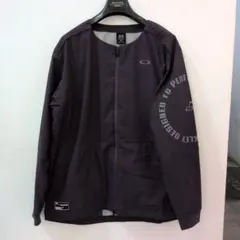 Item thumbnail for item ea01417d-0f36-4b6f-90ed-2ebbdf92dc9b