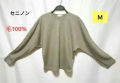 Item thumbnail for item 360916f2-bc1e-4240-8a75-2b2ea529dcd1