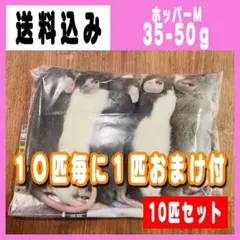 【訳あり】冷凍ラット 35〜50ｇ SSサイズ 40匹セット 2026年最新】冷凍ラットの人気アイテム - メルカリ