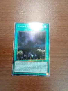 遊戯王 真帝王領域① スターライトレア 英語版