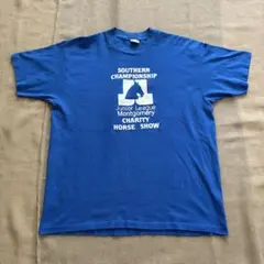 USA製】90s NHLデトロイトレッドウィングス シングルステッチ Tシャツ 