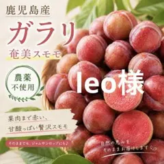 告知用！！鹿児島産 ガラリ 奄美スモモ 農薬不使用 鹿児島産 ガラリ 奄美スモモ 農薬不使用 5キロ - メルカリ