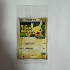 未開封】ポケパークのピカチュウ PROMO 043/PCG-P ゴニョニョ - メルカリ