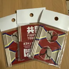 鹿島アントラーズ フードピック 5本入り×3セット