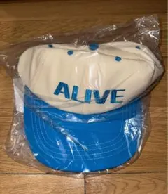 ドンヘ ソウルコン ソロコン ALIVE ミニドールキーリング - メルカリ