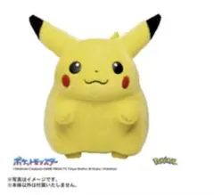 新品未開封 ポケモン30周年記念おかえり!ピカチュウ1/1
