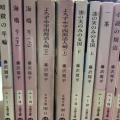 汐見夏衛 小説 14冊セット - メルカリ