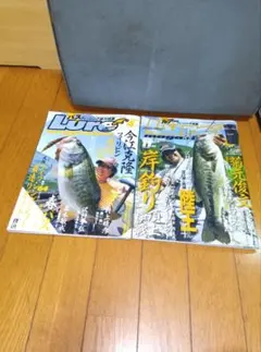 ルアーマガジン　（釣り雑誌）2008・4　2010・11　２冊セット　№２１６３