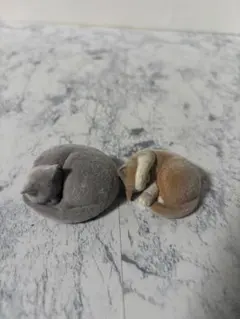 まぶしいにゃん あんもにゃいと　黒ハチワレ　茶トラ　猫　ガチャ　フィギュア