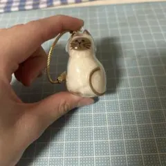 うちの子のけだまだま　シャム