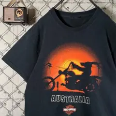 90sUSA製ハーレーダビッドソンTシャツアラスカベア - メルカリ