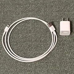 iPhoneライトニングケーブル 充電器 USBコンセント電源　純正