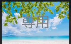 専用