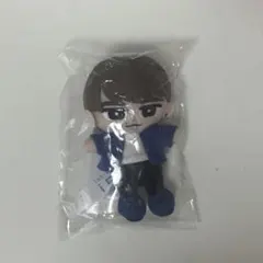 【新品未開封】SnowMan 渡辺翔太 すのチル ぬいぐるみ