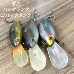 2026年最新】常吉 ルアーの人気アイテム - メルカリ