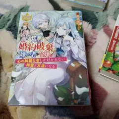 性悪という理由で婚約破棄された嫌われ者の令嬢 : 心の綺麗な者しか好かれない精…