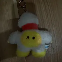 treasure ジフン truz ロミー minini