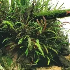 taka09092001様 リクエスト 2点 まとめ商品