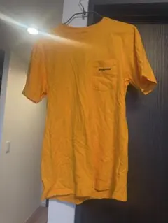 Patagonia オレンジ 半袖Tシャツ