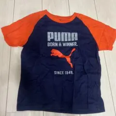 PUMA Tシャツ 140サイズ ネイビー/オレンジ