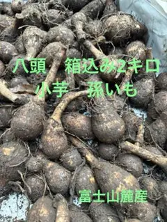 2025年最新】里芋種芋の人気アイテム - メルカリ