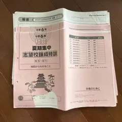 サピックス小学6年生 冬期講習 正月特訓 2026年終了組 - メルカリ