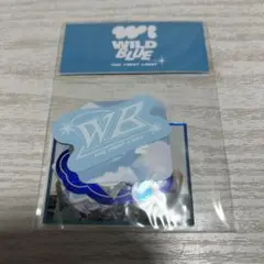 29日まで即日発送可能。 WILDBLUE ザファーストライト ペンライト 29日まで即日発送可能。 WILDBLUE ザファーストライト ペン