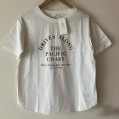 ロゴtシャツ　サマンサモスモス　SM2 プリントtシャツ　コットン　スラブロゴ