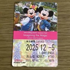 東京ディズニーリゾート リゾートライン イマジニング・ザ・マジックきっぷ(使用済