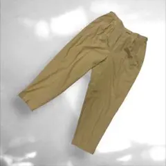 Leilian レリアン カジュアルパンツ サイズ17+ 大きめジュ S-450