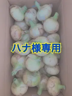 ハナ様専用