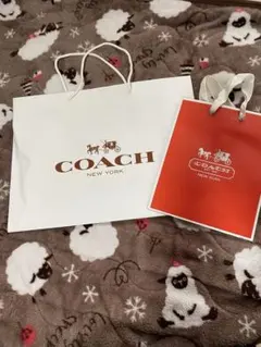 COACH ショッピングバッグ 大小セット
