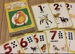 知育英語フラッシュカード　キッズ